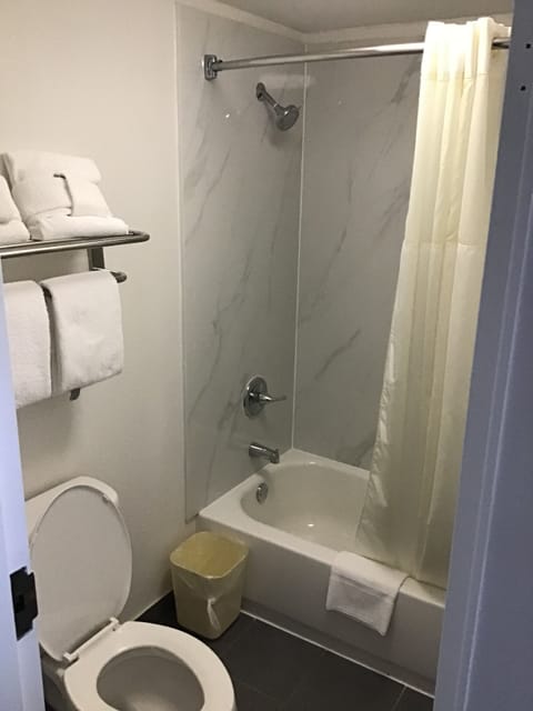 Combined shower/tub, free toiletries, hair dryer, towels