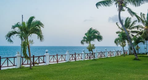 Outdoor wedding area