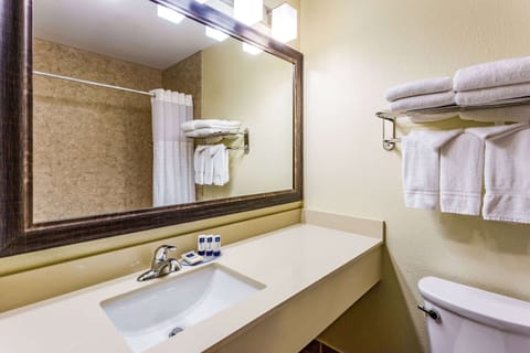 Combined shower/tub, free toiletries, hair dryer, towels