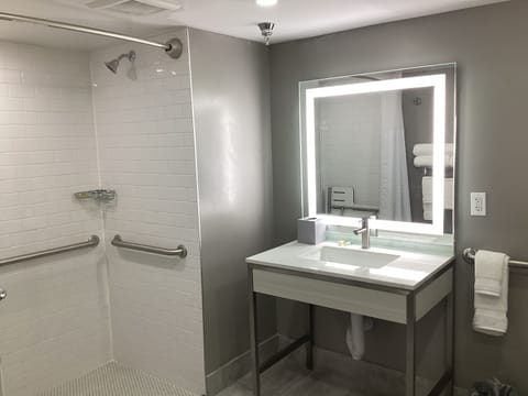 Combined shower/tub, free toiletries, hair dryer, towels