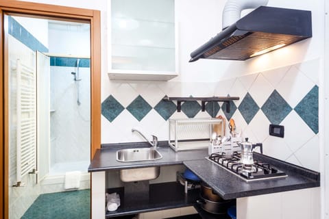 Studio | Private kitchen | Mini-fridge, coffee/tea maker, electric kettle