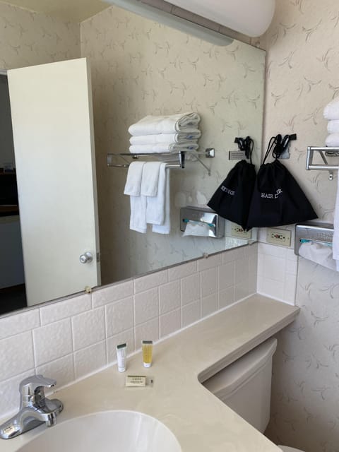 Combined shower/tub, free toiletries, hair dryer, towels