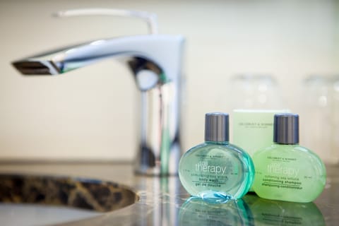 Combined shower/tub, jetted tub, free toiletries, hair dryer