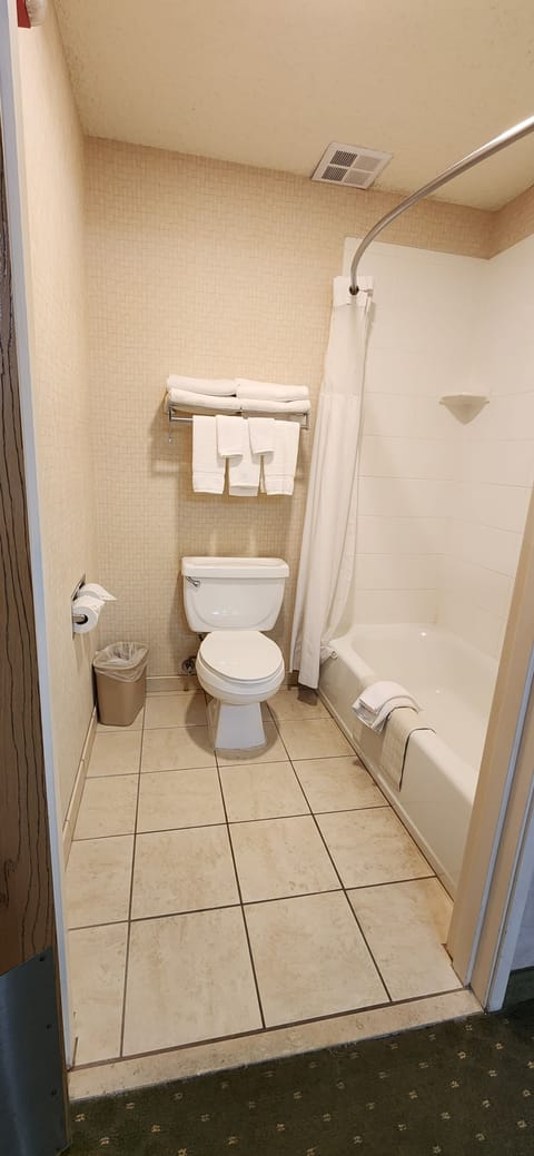 Combined shower/tub, free toiletries, hair dryer, towels