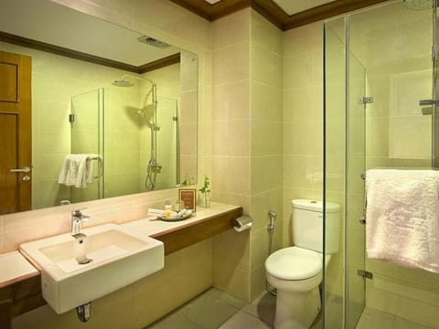 Deluxe Room | Bathroom | Shower, free toiletries, towels