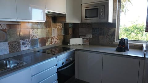 Apartment, 1 Bedroom , Balcony, Island View | Private kitchen | Full-size fridge, microwave, oven, stovetop