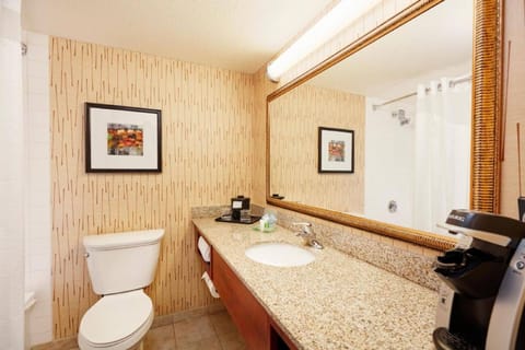 Combined shower/tub, free toiletries, hair dryer