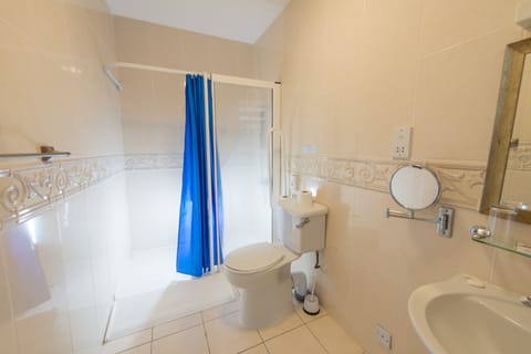 Superior Double or Twin Room | Bathroom | Free toiletries, hair dryer, towels