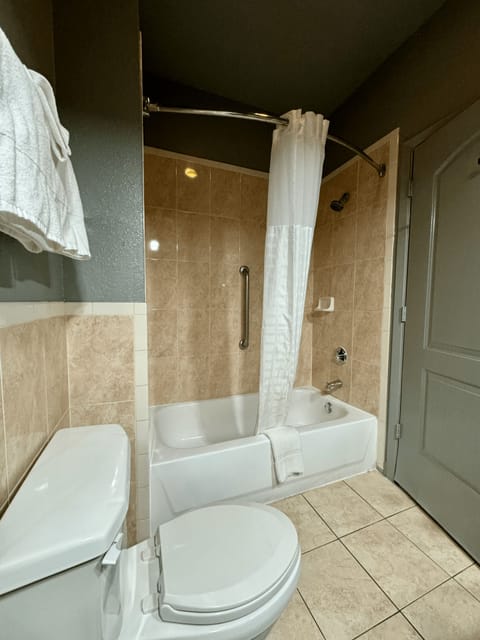 Combined shower/tub, free toiletries, hair dryer, towels