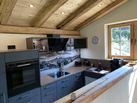 Premium Chalet | Private kitchen | Fridge, microwave, oven, stovetop