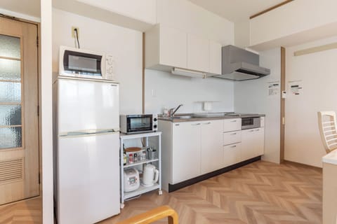 Family Apartment, 3 Bedrooms | Private kitchen | Full-size fridge, microwave, stovetop, electric kettle