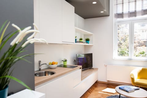 Deluxe Apartment | Private kitchen | Full-size fridge, microwave, stovetop, dishwasher