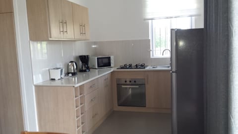 Deluxe Apartment, 2 Bedrooms | Private kitchen | Full-size fridge, microwave, oven, stovetop