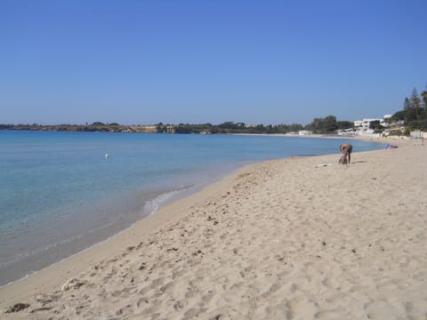 On the beach