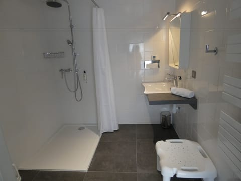 Standard Apartment, Multiple Beds, Non Smoking, Kitchen (with Sofabed) | Bathroom | Free toiletries, hair dryer, towels