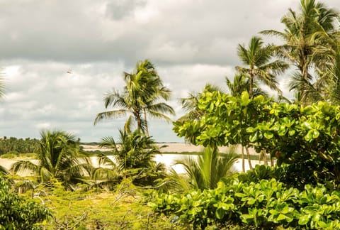 Land view from property