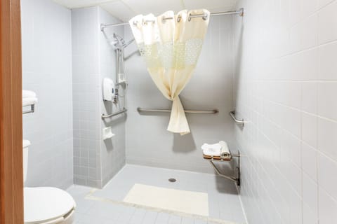 Standard Room, 1 King Bed [Rolling Tub] | Bathroom | Combined shower/tub, free toiletries, hair dryer, towels