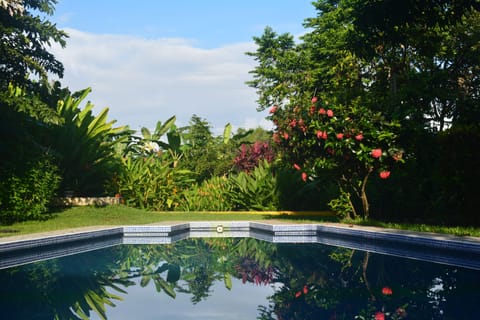 Outdoor pool, sun loungers