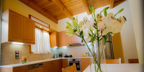 Villa | Private kitchen | Fridge, oven, stovetop, dishwasher