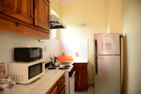 Deluxe Apartment, 1 Bedroom, Sea View | Private kitchen | Full-size fridge, microwave, oven, stovetop