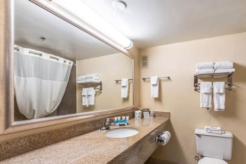 Combined shower/tub, free toiletries, hair dryer, towels