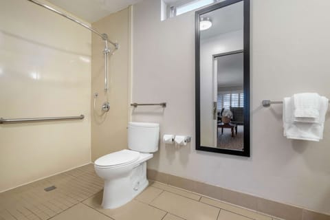 Suite, 1 King Bed, Accessible, Non Smoking (Walk-in Shower;with Sofabed) | Bathroom | Free toiletries, hair dryer, towels