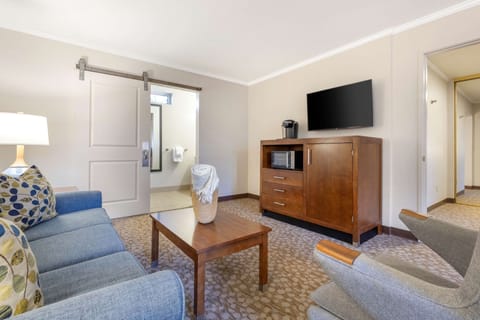 Suite, 1 King Bed, Accessible, Non Smoking (Walk-in Shower;with Sofabed) | In-room safe, desk, laptop workspace, blackout drapes