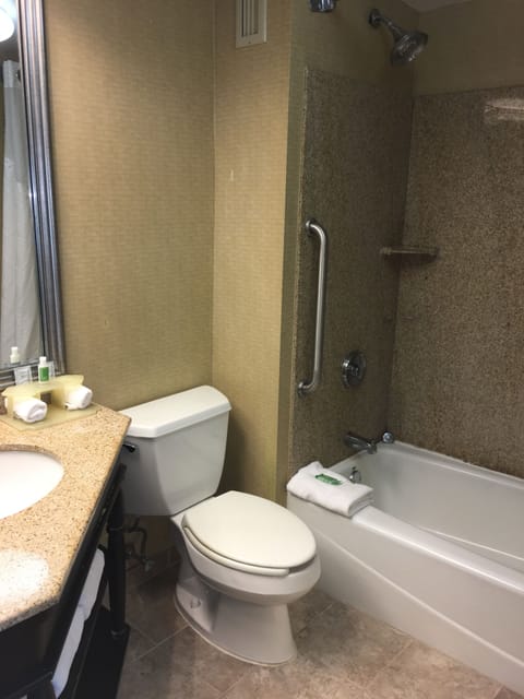 Combined shower/tub, free toiletries, hair dryer, towels