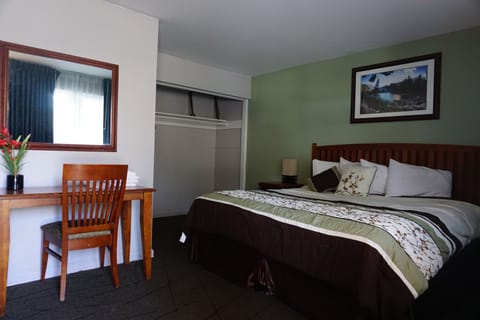 King Room | Iron/ironing board, free WiFi