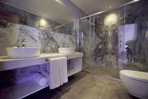 Deluxe Studio | Bathroom | Shower, rainfall showerhead, free toiletries, hair dryer