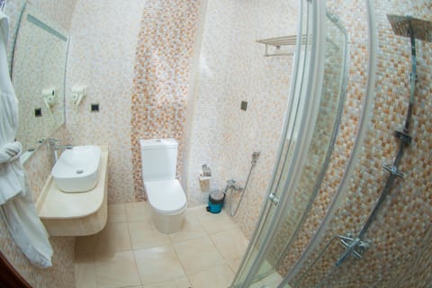 Deluxe Twin Room, City View | Bathroom | Shower, rainfall showerhead, free toiletries, hair dryer