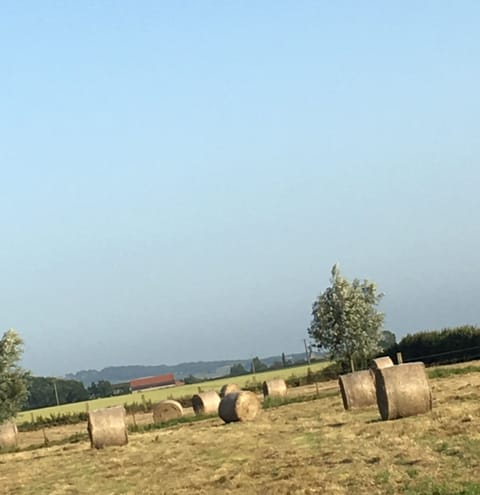 Land view from property