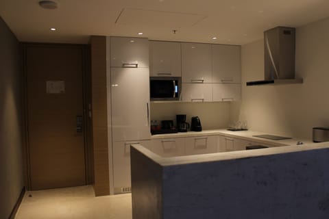 Apartment, 1 Bedroom, Non Smoking, City View | Private kitchen | Full-size fridge, microwave, oven, dishwasher