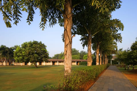 Basketball court