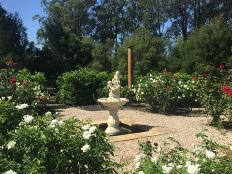 Outdoor wedding area