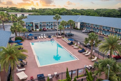 Outdoor pool, a heated pool, sun loungers