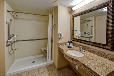 Studio, 1 King Bed, Accessible, Non Smoking | Bathroom shower