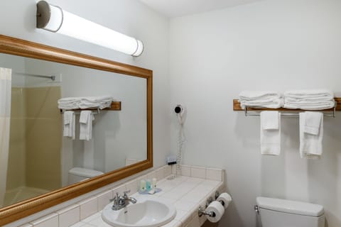 Combined shower/tub, hair dryer, towels