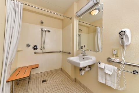 Combined shower/tub, free toiletries, hair dryer, towels