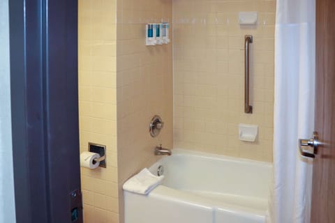 Room, 1 King Bed, Accessible, Non Smoking | Bathroom | Combined shower/tub, free toiletries, hair dryer, towels