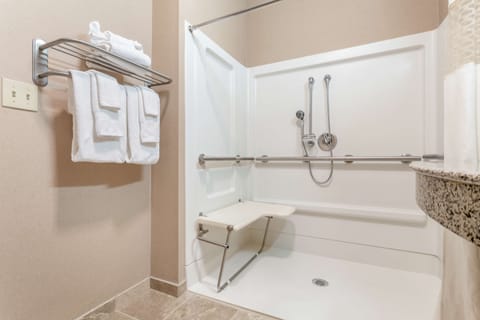 Room, 1 King Bed, Accessible, Non Smoking | Bathroom shower