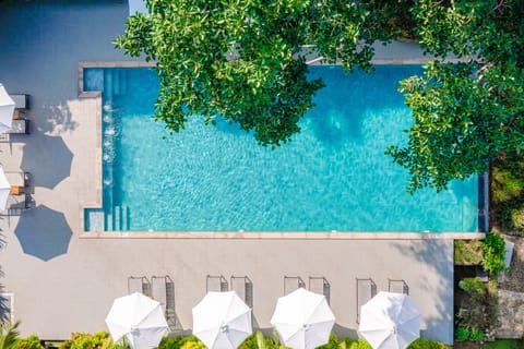 Outdoor pool, sun loungers