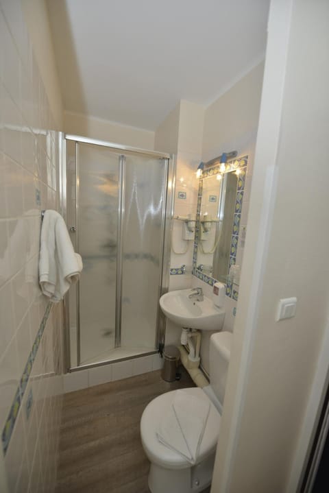 Single Room | Bathroom | Shower, free toiletries, hair dryer, towels