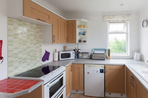 Comfort Apartment, 1 Bedroom, City View | Private kitchen | Fridge, microwave, oven, stovetop