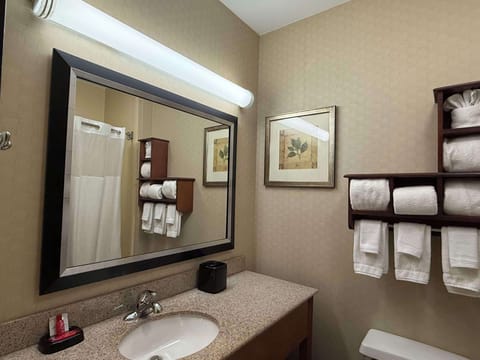 Standard Room, 2 Queen Beds, Accessible, Refrigerator & Microwave | Bathroom | Hair dryer, towels