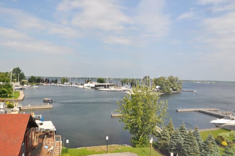 Panoramic Room, 1 King Bed, Harbor View | View from room