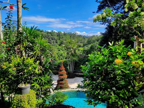 Outdoor pool, pool umbrellas, sun loungers