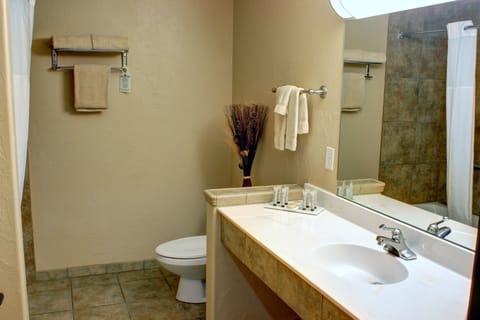 Executive Suite | Bathroom | Combined shower/tub, free toiletries, hair dryer, towels