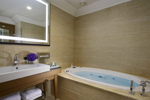 Family Suite | Bathroom | Free toiletries, hair dryer, bidet, towels