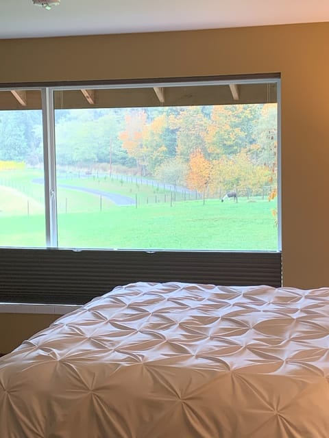 Premium Double Room, Ensuite (Pastoral View) | Free WiFi